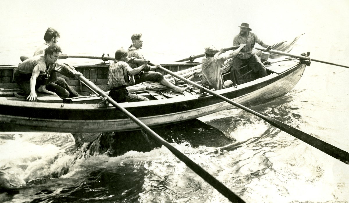 A crew balances on the rowboat as it is lifted up from the water by a whale.