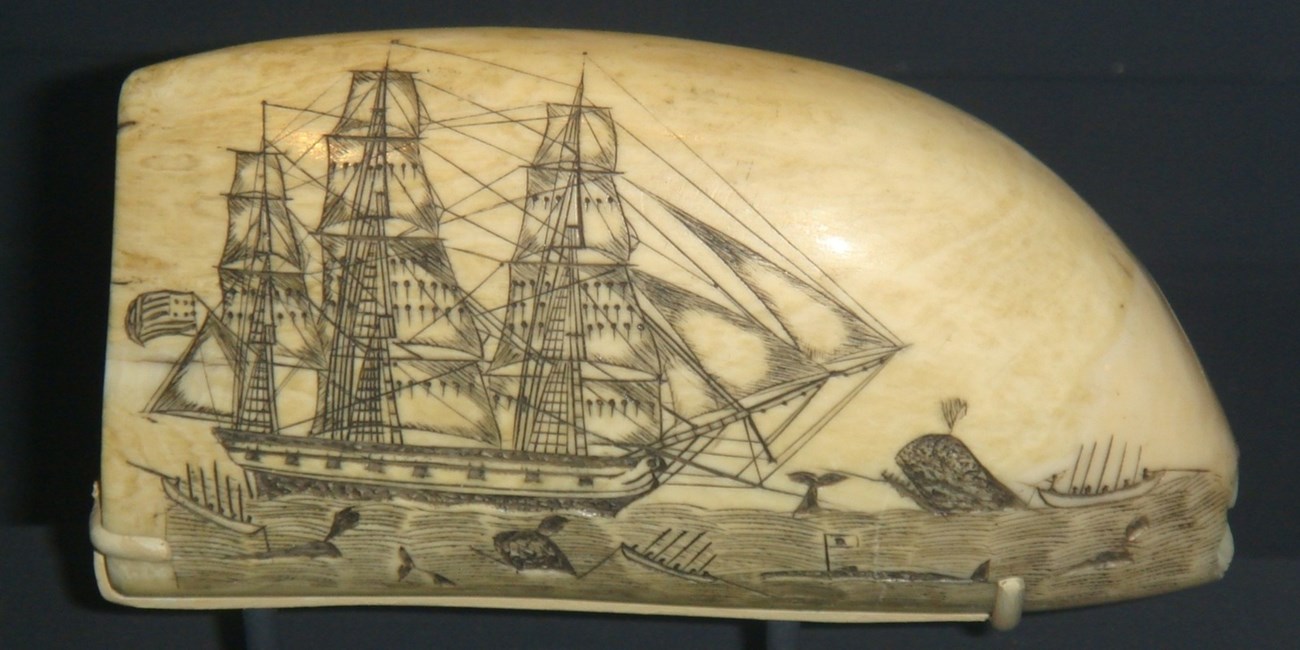 Ship at sea etched into whale tooth, scrimshaw.