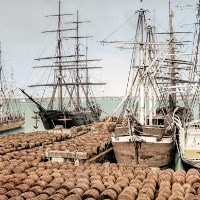 Colorized image of casks of oil unloaded from whaleships.