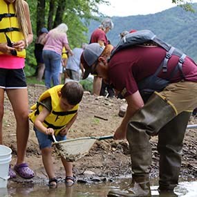 a park intern and visitors collecting larvae from a stream