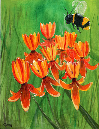 painting of bee on orange wildflowers