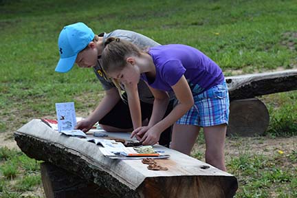 kids studying animals at camp