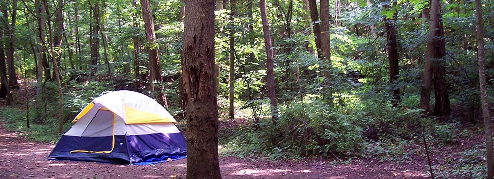 web_Campsite_longer.jpg?maxwidth\u003d1300\u0026maxheight\u003d1300\u0026autorotate\u003dfalse