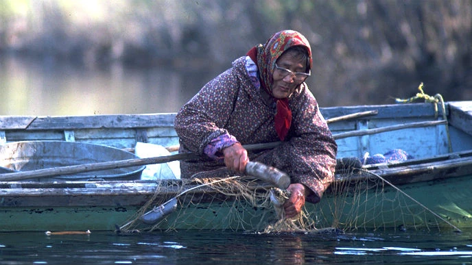 Fishing is an important subsistence activity. woman fishing with a net from a boat