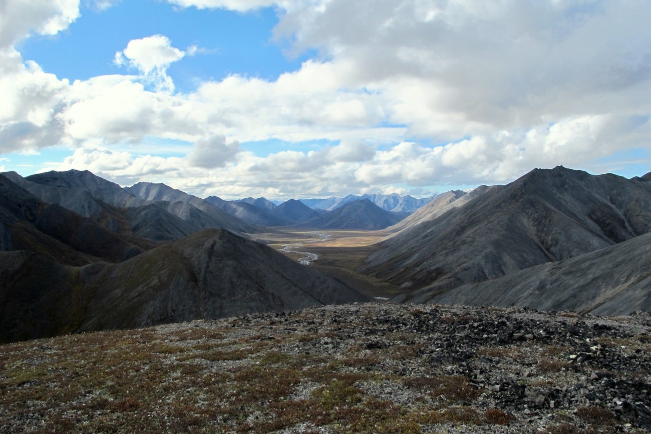 mountains surround a valley with a creek running through it