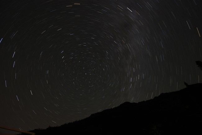 photo of the north start and star trails