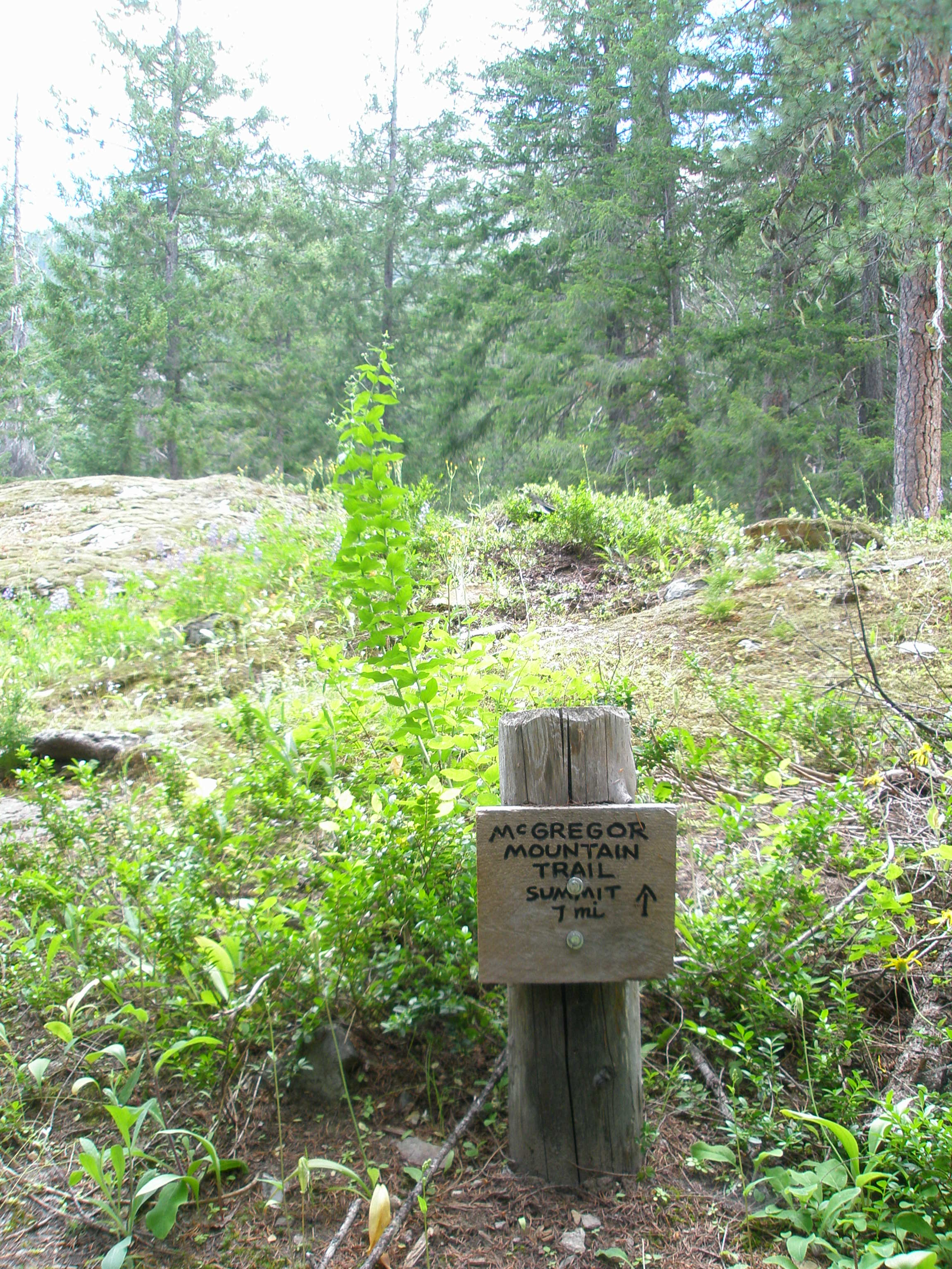 McGregor Mountain Trail - North Cascades National Park (U 