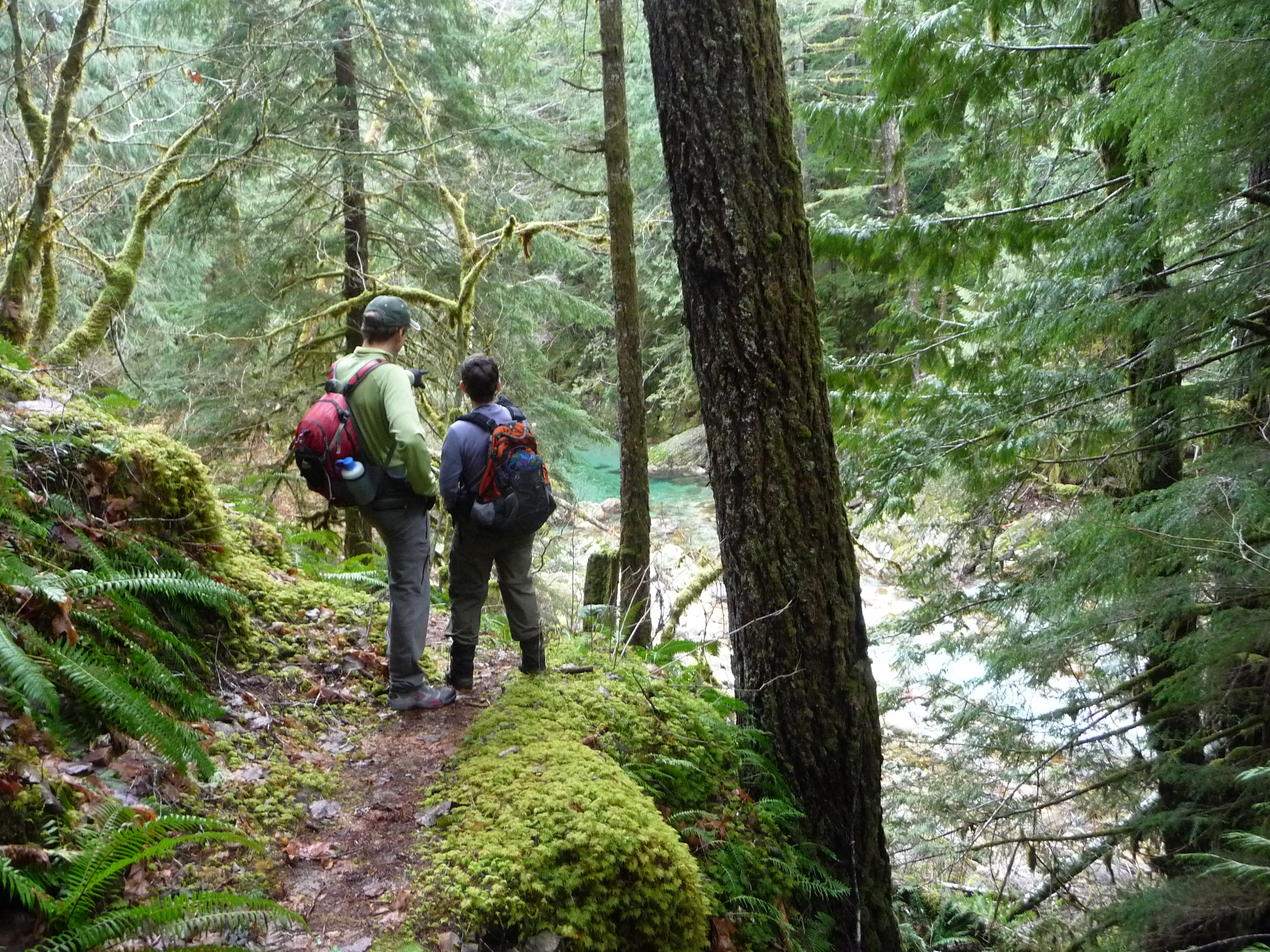 Stetattle Creek Trail - North Cascades National Park (U.S.