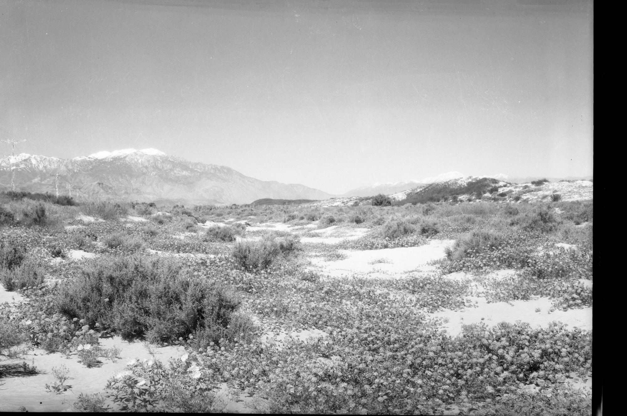 SEKI Roberts Collection Series: 2 Negatives; 10 Outside of the Park