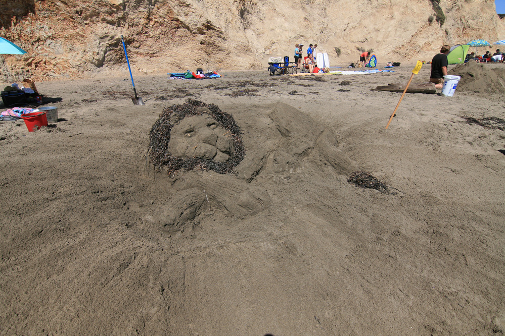 Annual Sand Sculpture Contest - Point Reyes National Seashore (U.S.  National Park Service)
