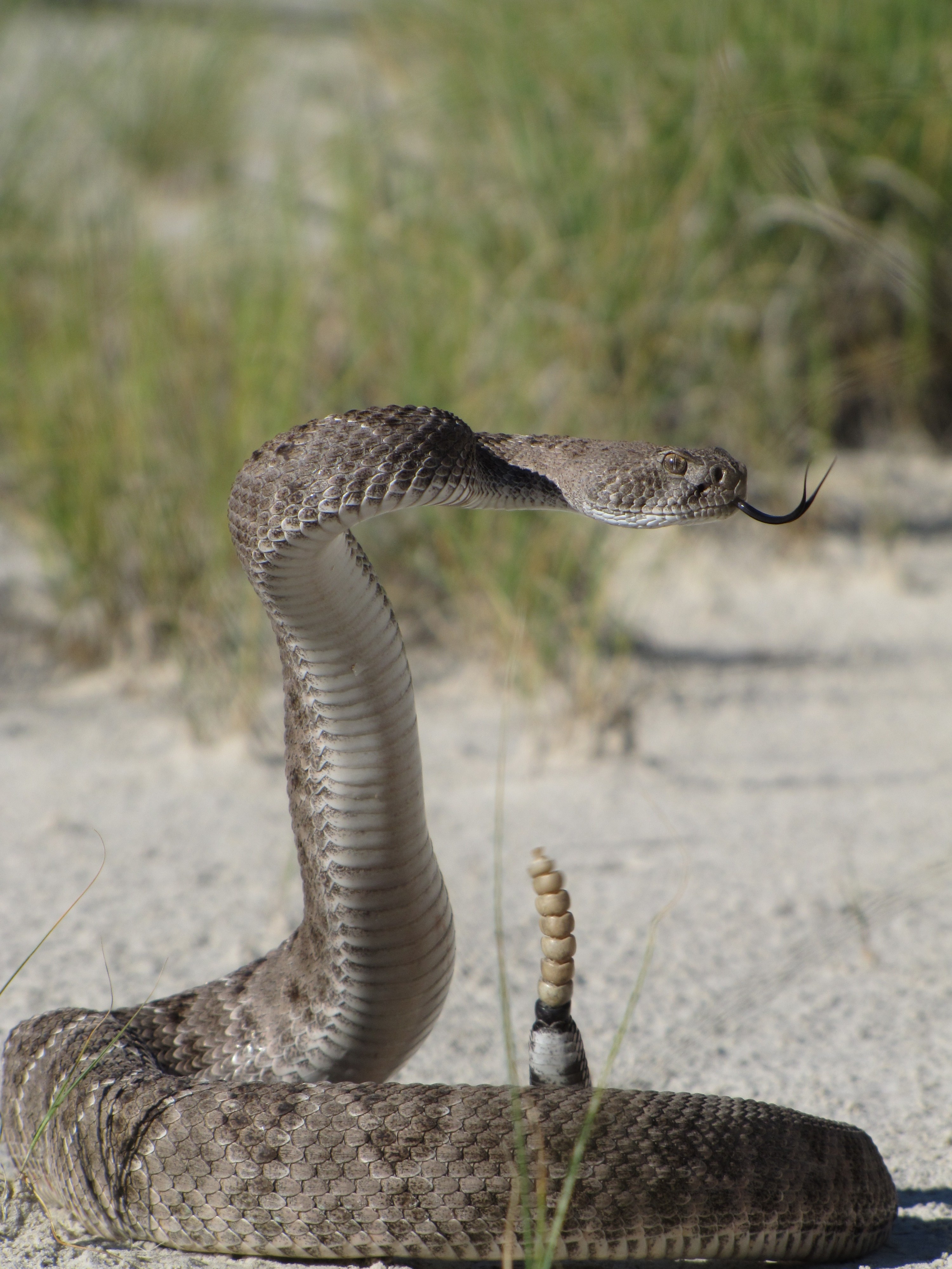 Photo U S National Park Service