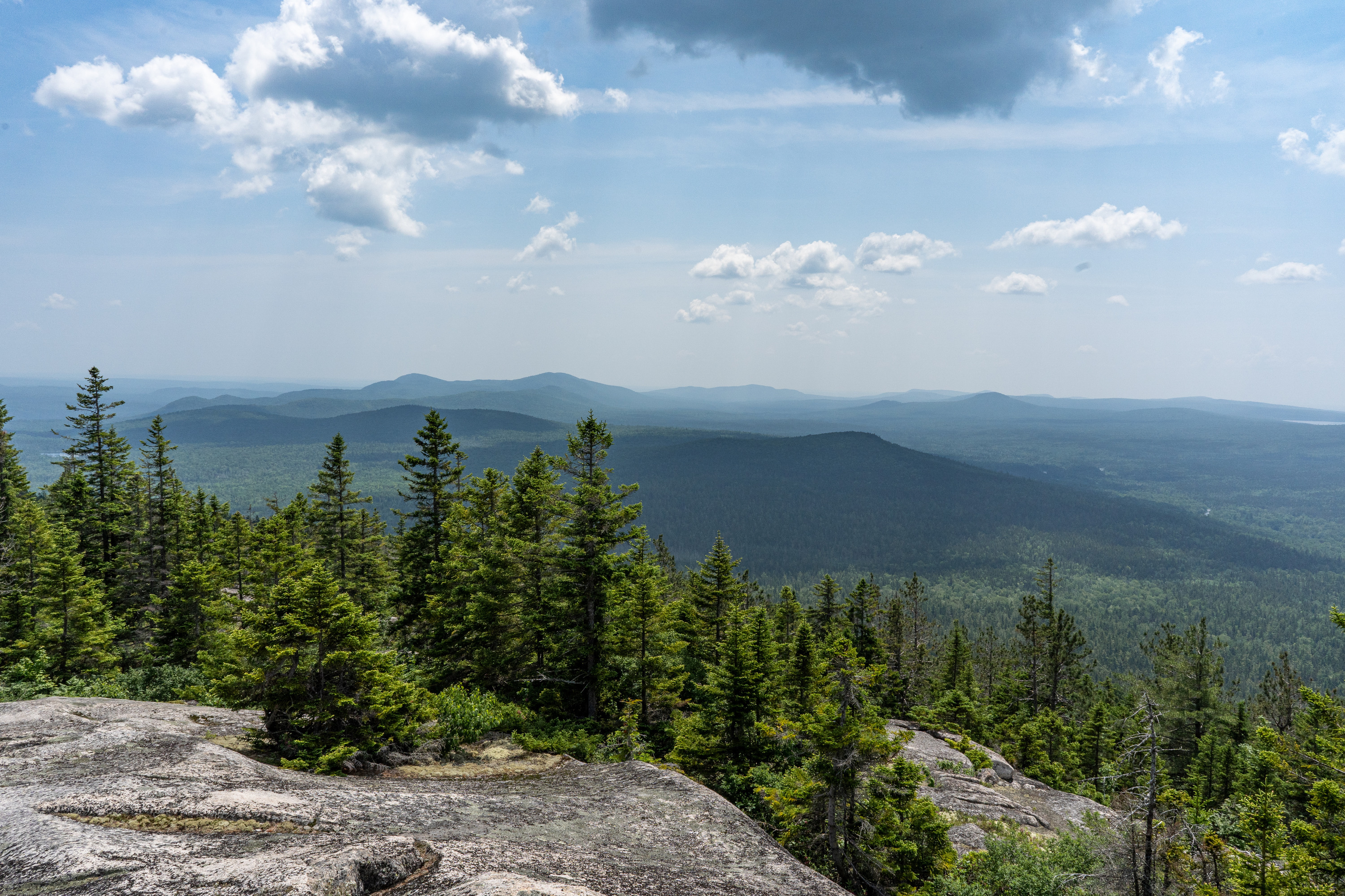 Natural Rock + Forest Standing Surfaces