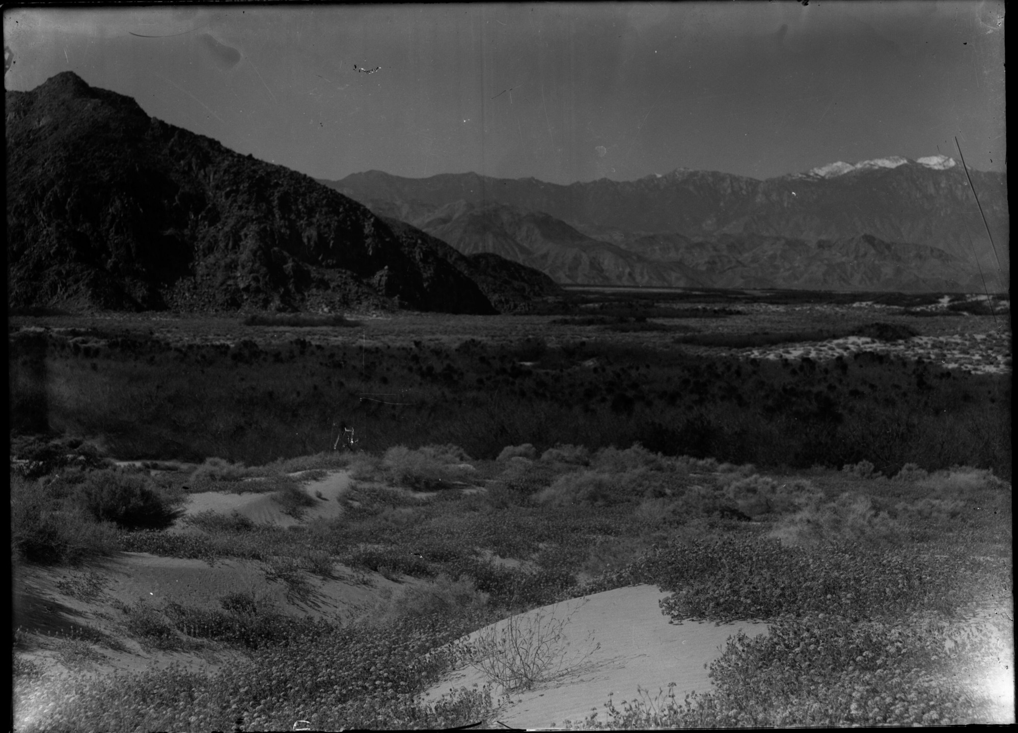 SEKI Roberts Collection Series: 1 Glass Plates; 1 Small glass plates; 10 Outside of the Park