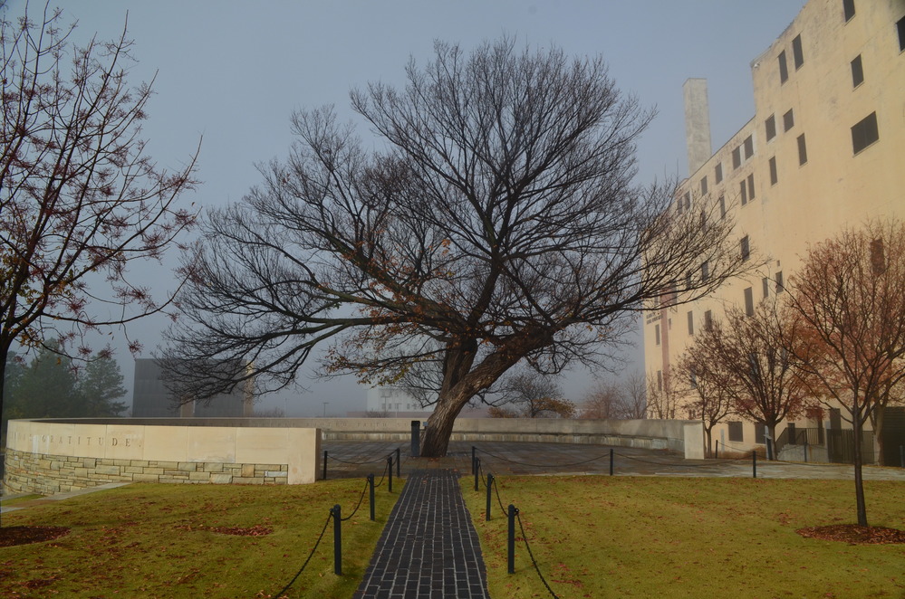 The Survivor Tree – Tomorrow – Oklahoma City National Memorial & Museum