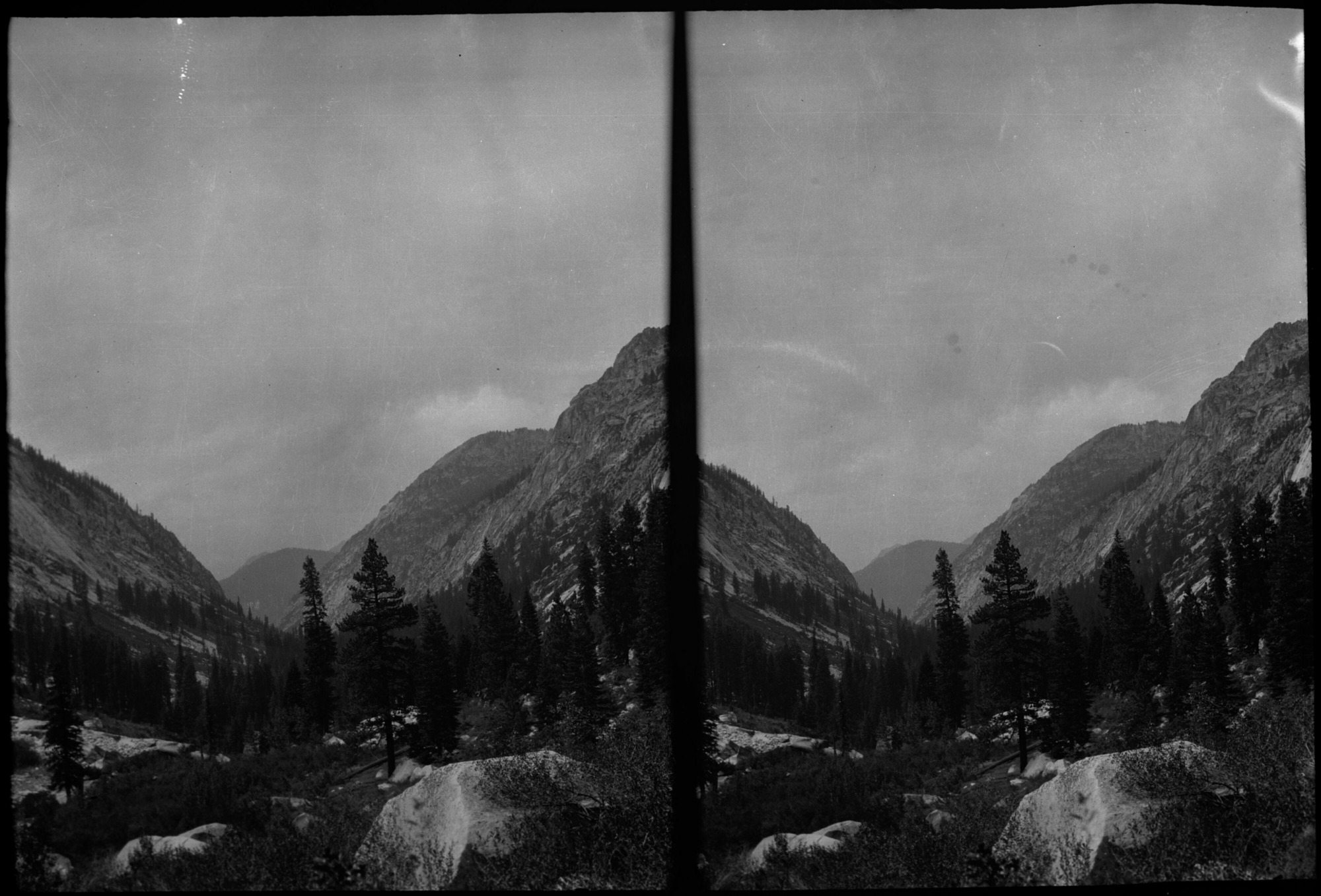 SEKI Roberts Collection Series: 2 Negatives; 15 Stereographs