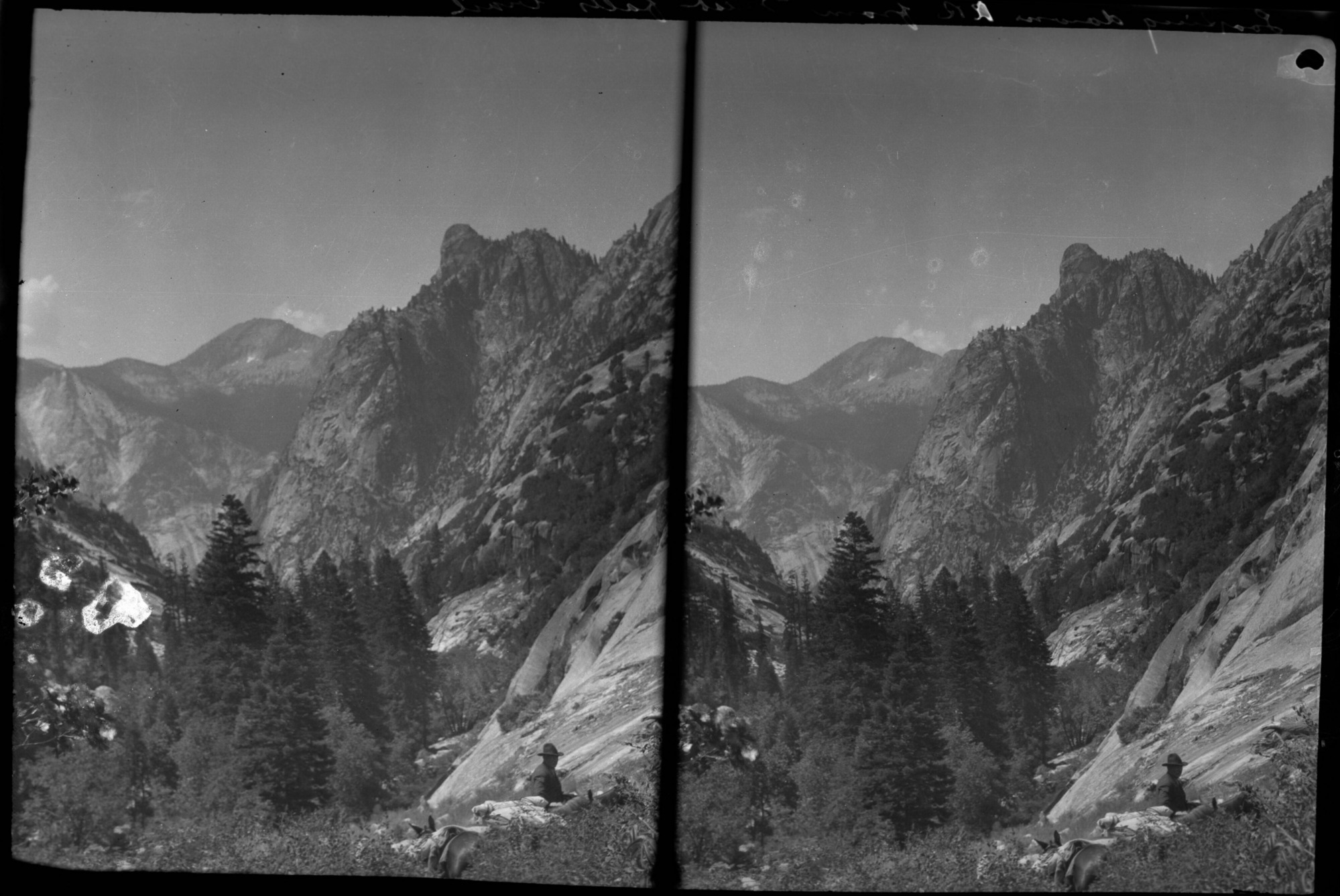 SEKI Roberts Collection Series: 2 Negatives; 15 Stereographs