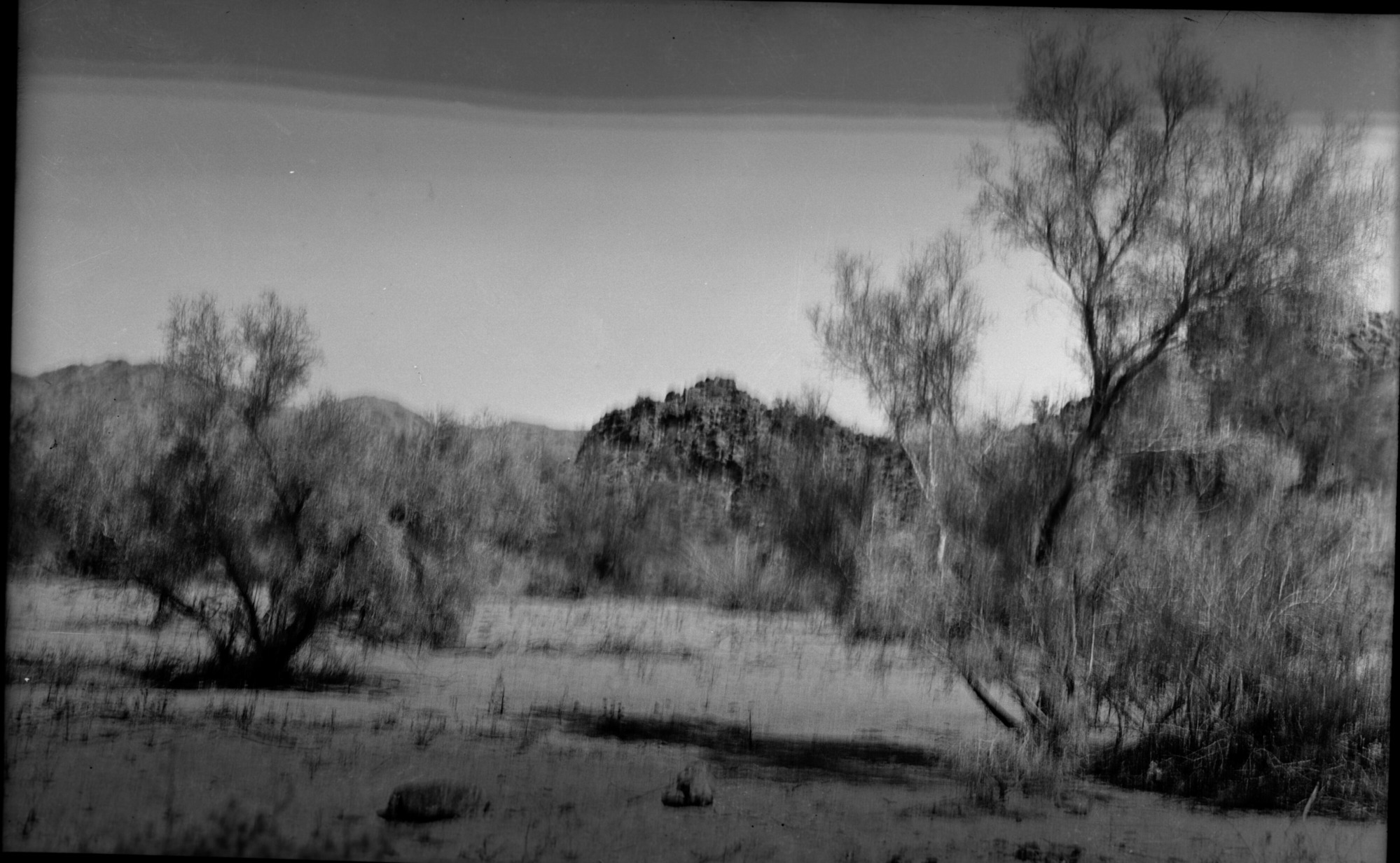 SEKI Roberts Collection Series: 2 Negatives; 10 Outside of the Park