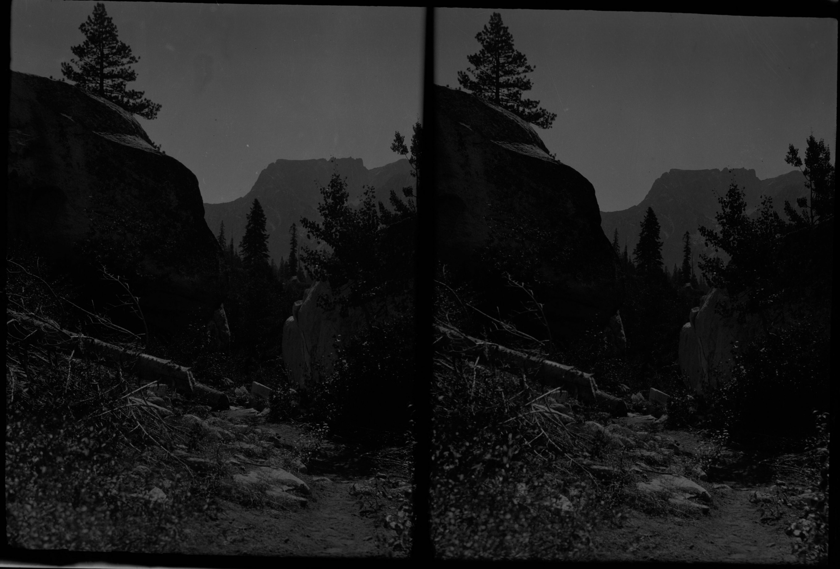 SEKI Roberts Collection Series: 2 Negatives; 15 Stereographs