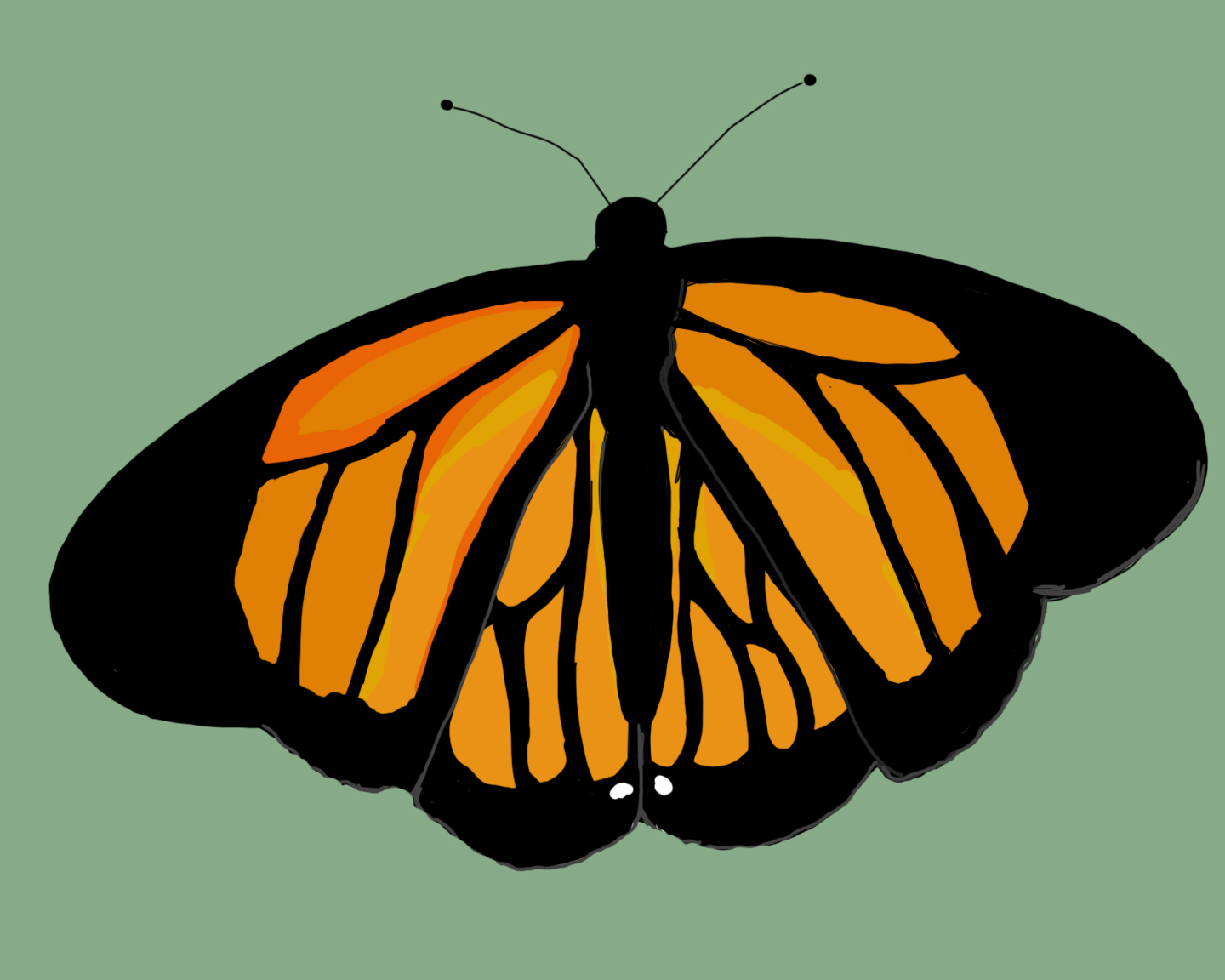 Monarch Butterflies - Fire Island National Seashore (U.S. National Park  Service)