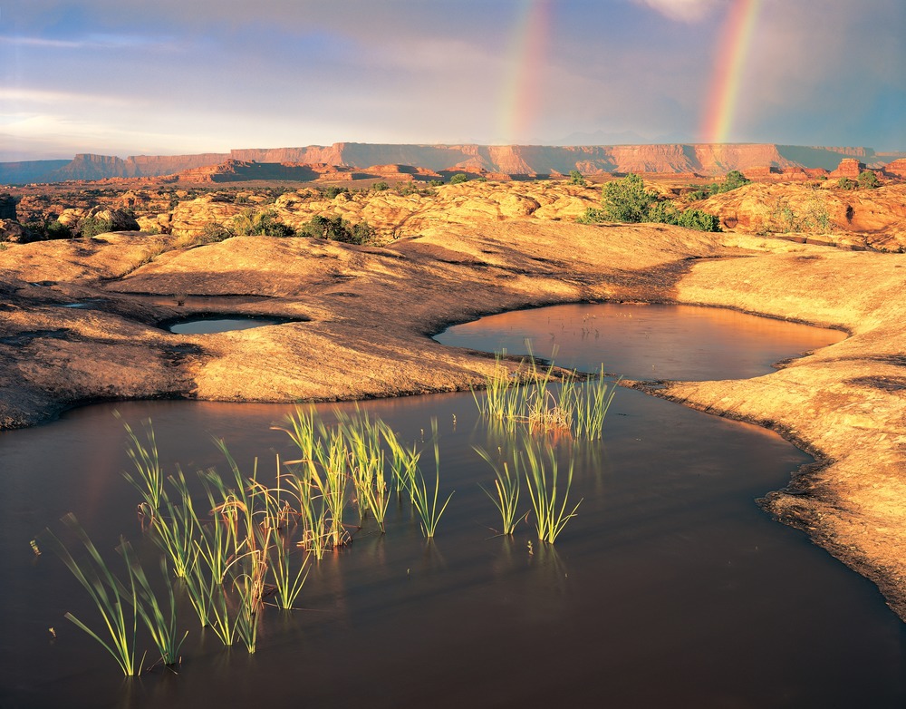 The Needles - Canyonlands National Park (U.S. National Park Service)