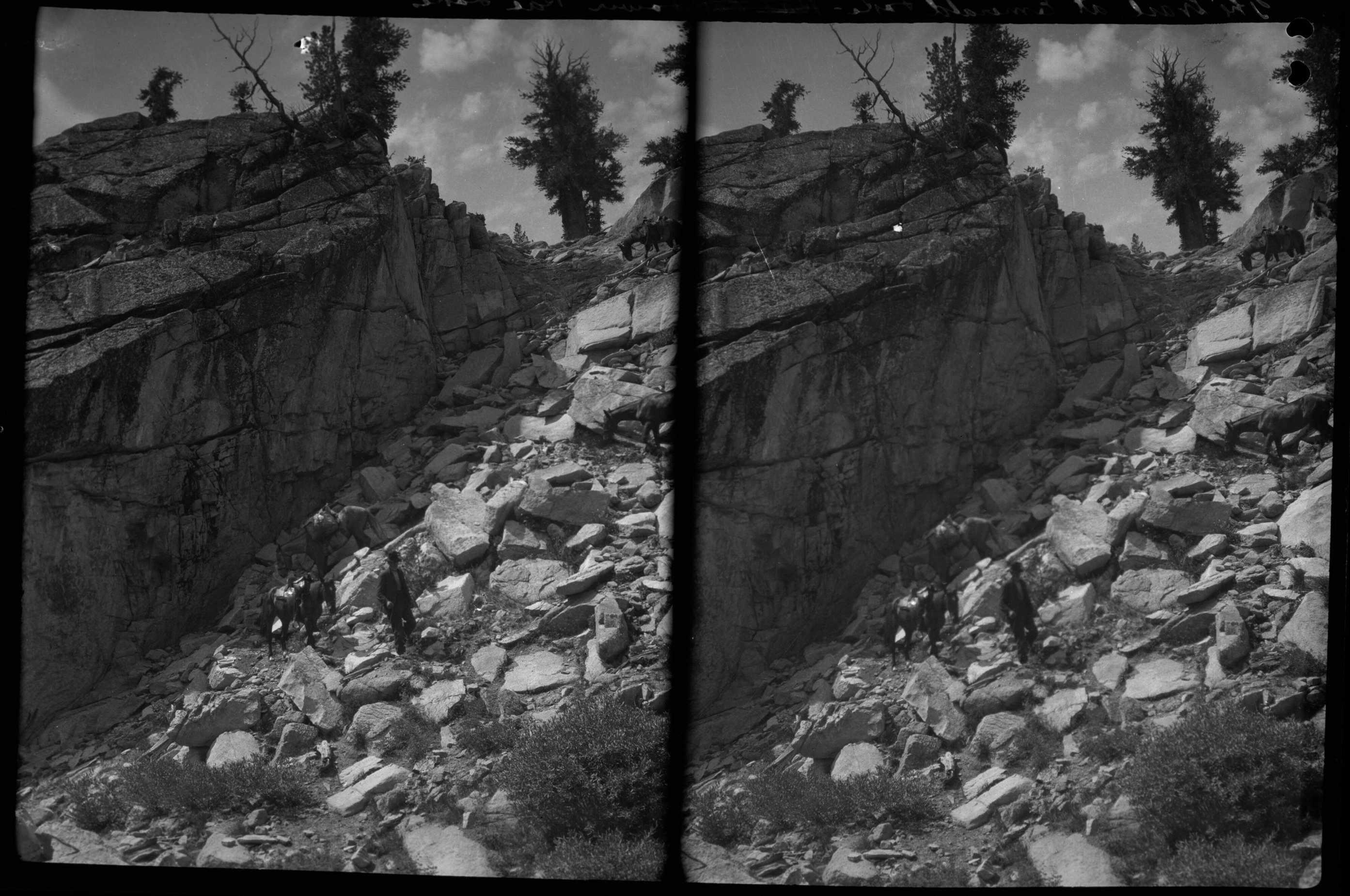 SEKI Roberts Collection Series: 2 Negatives; 15 Stereographs