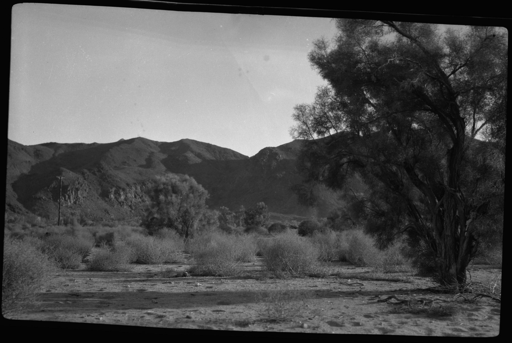 SEKI Roberts Collection Series: 2 Negatives; 10 Outside of the Park