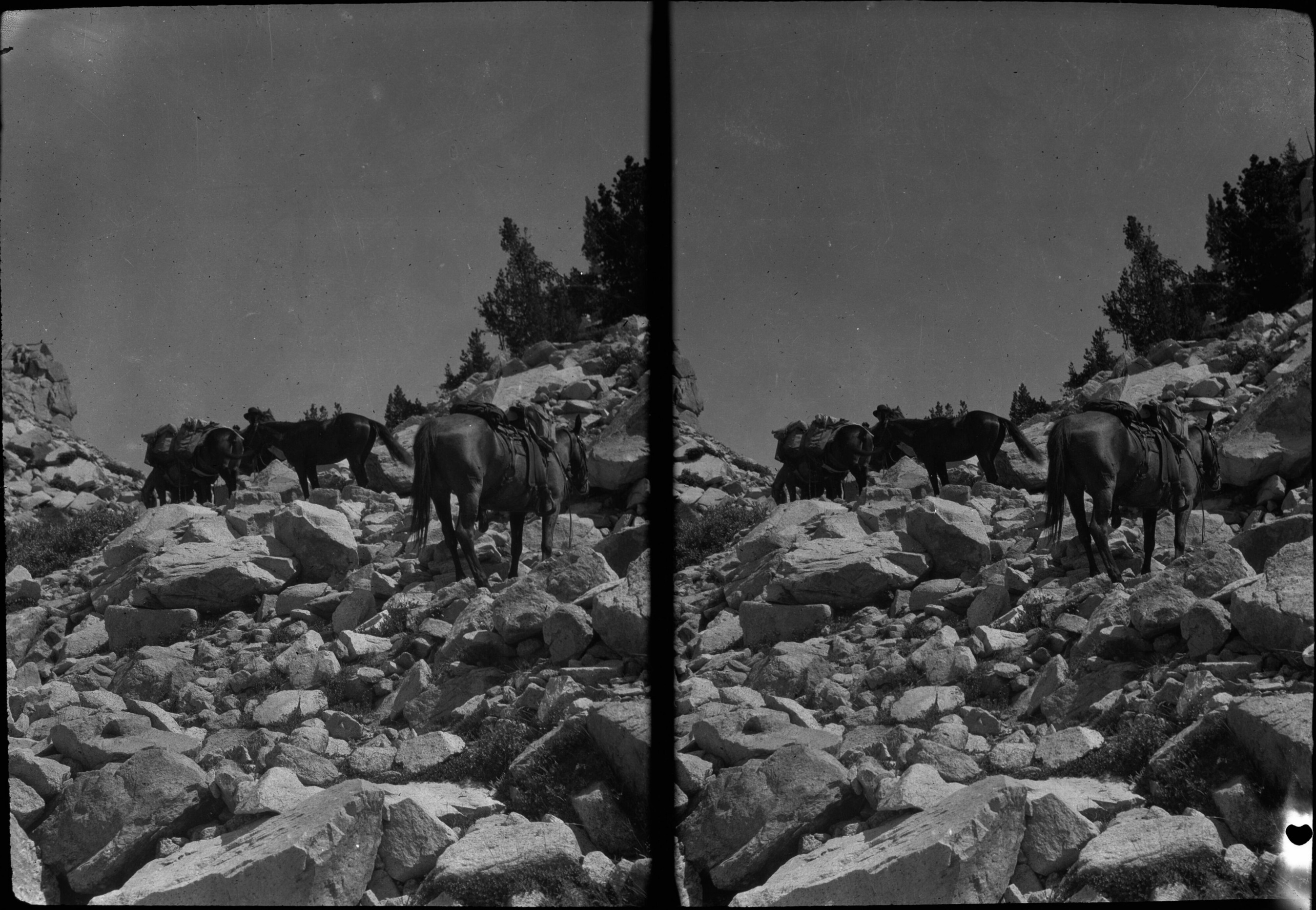 SEKI Roberts Collection Series: 2 Negatives; 15 Stereographs