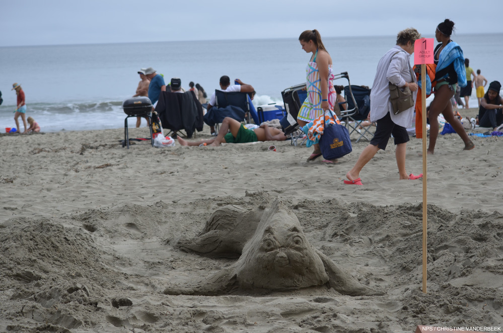 Annual Sand Sculpture Contest - Point Reyes National Seashore (U.S.  National Park Service)