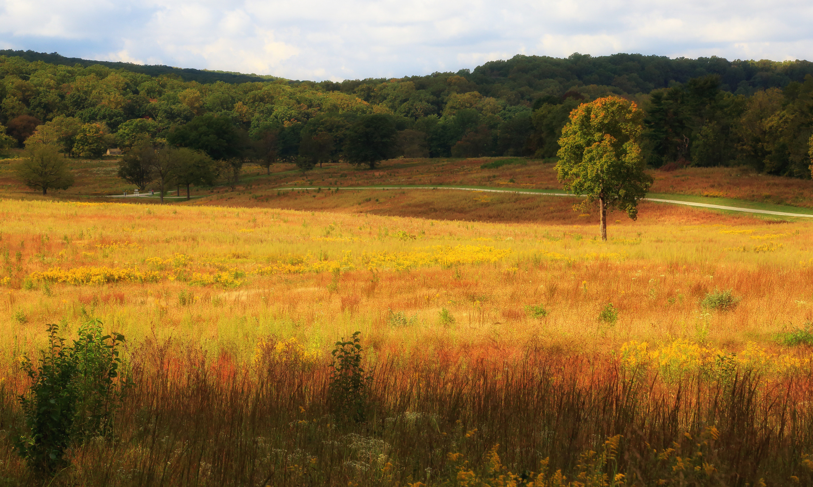 Washington's Birthday - Valley Forge National Historical Park (U.S.  National Park Service)