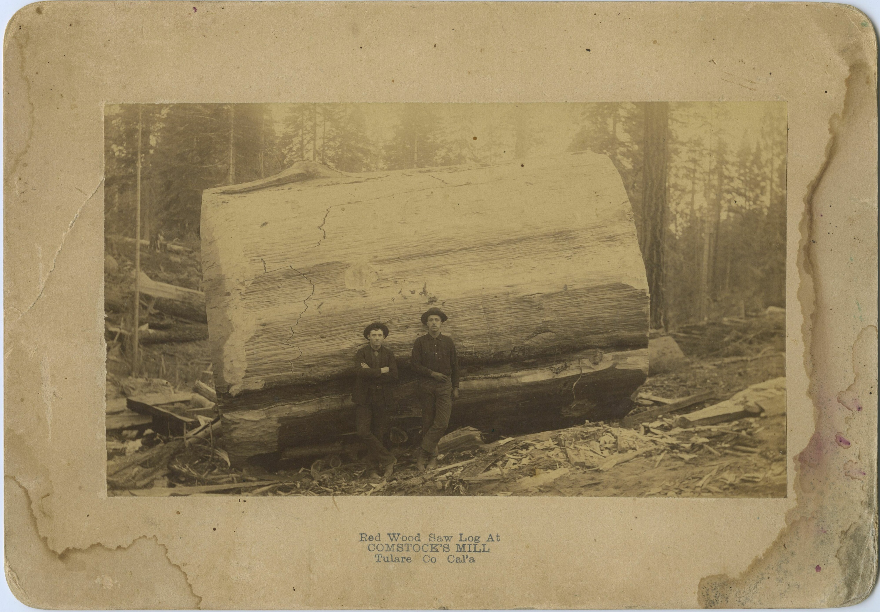 SEKI Roberts Collection Series: 3 Prints; 2 Medium; 8 Logging