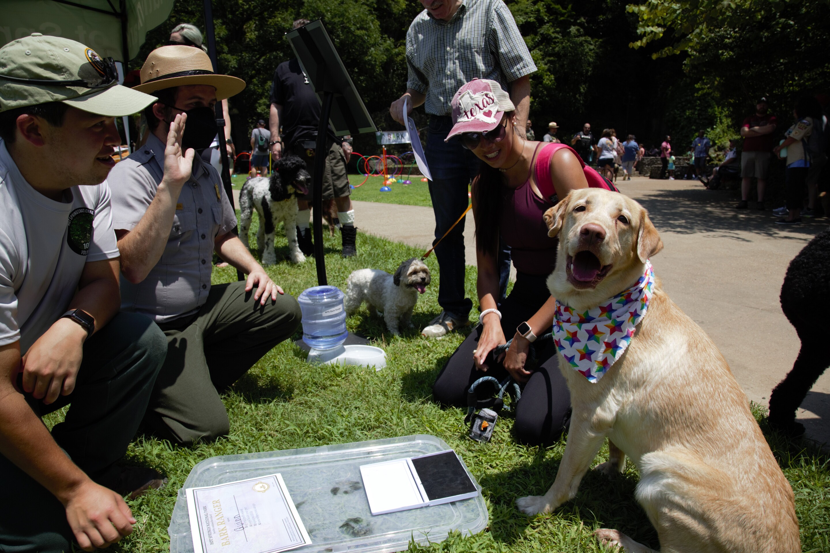 Texas Rangers host Bark in the Park 