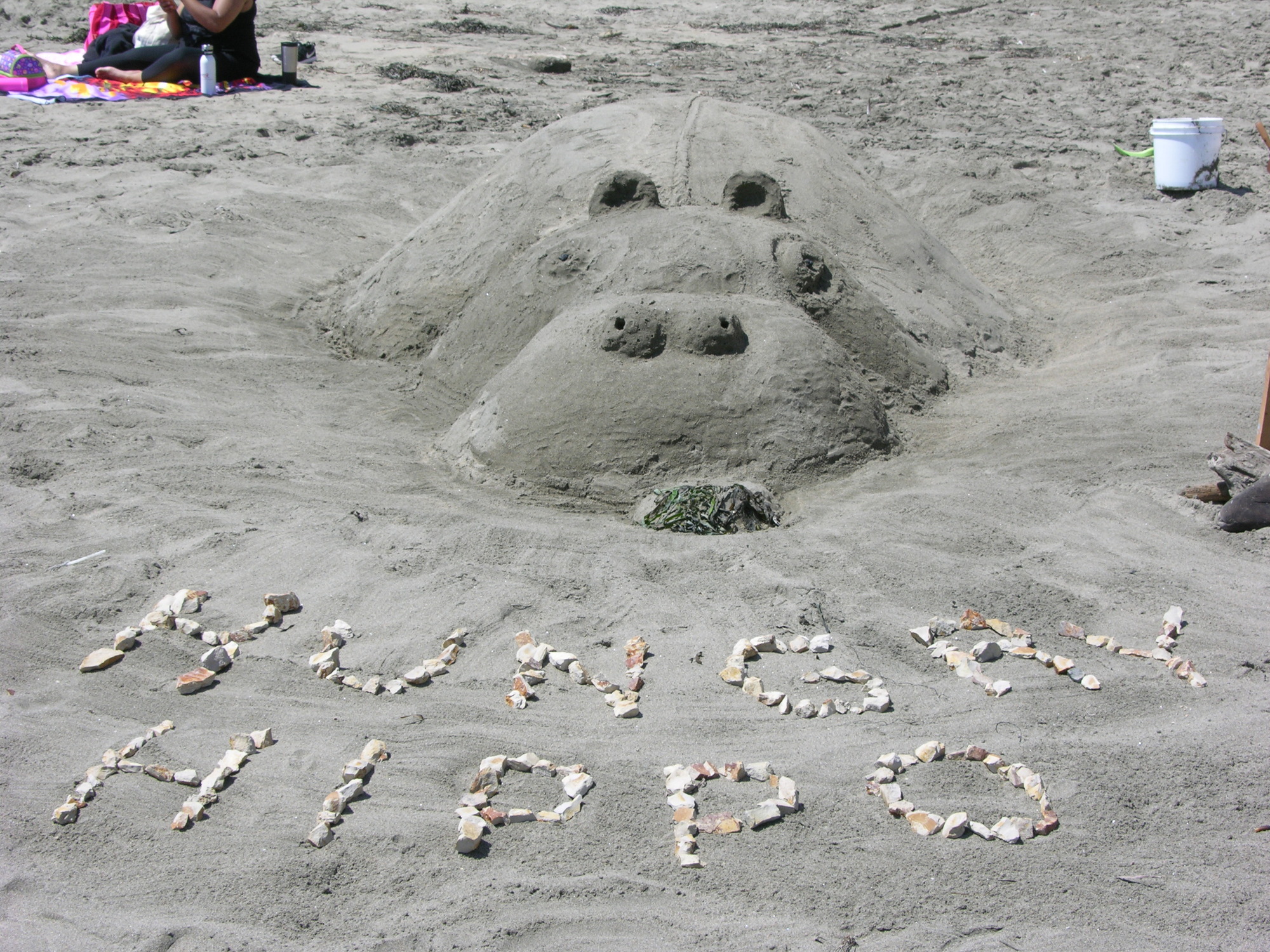 Annual Sand Sculpture Contest - Point Reyes National Seashore (U.S.  National Park Service)