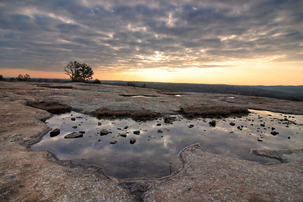 are dogs allowed at arabia mountain