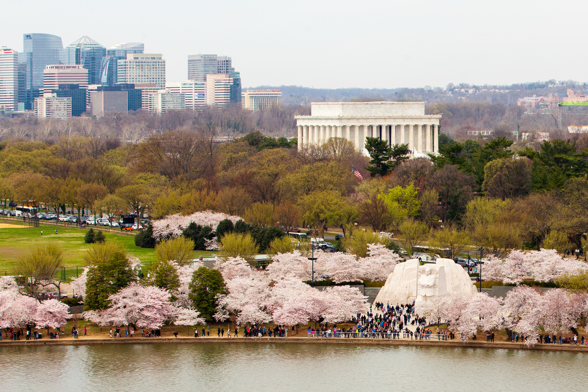 Spring Blooms at the National Cherry Blossom Festival – The