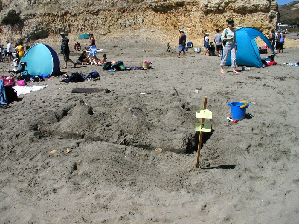 Annual Sand Sculpture Contest - Point Reyes National Seashore (U.S.  National Park Service)