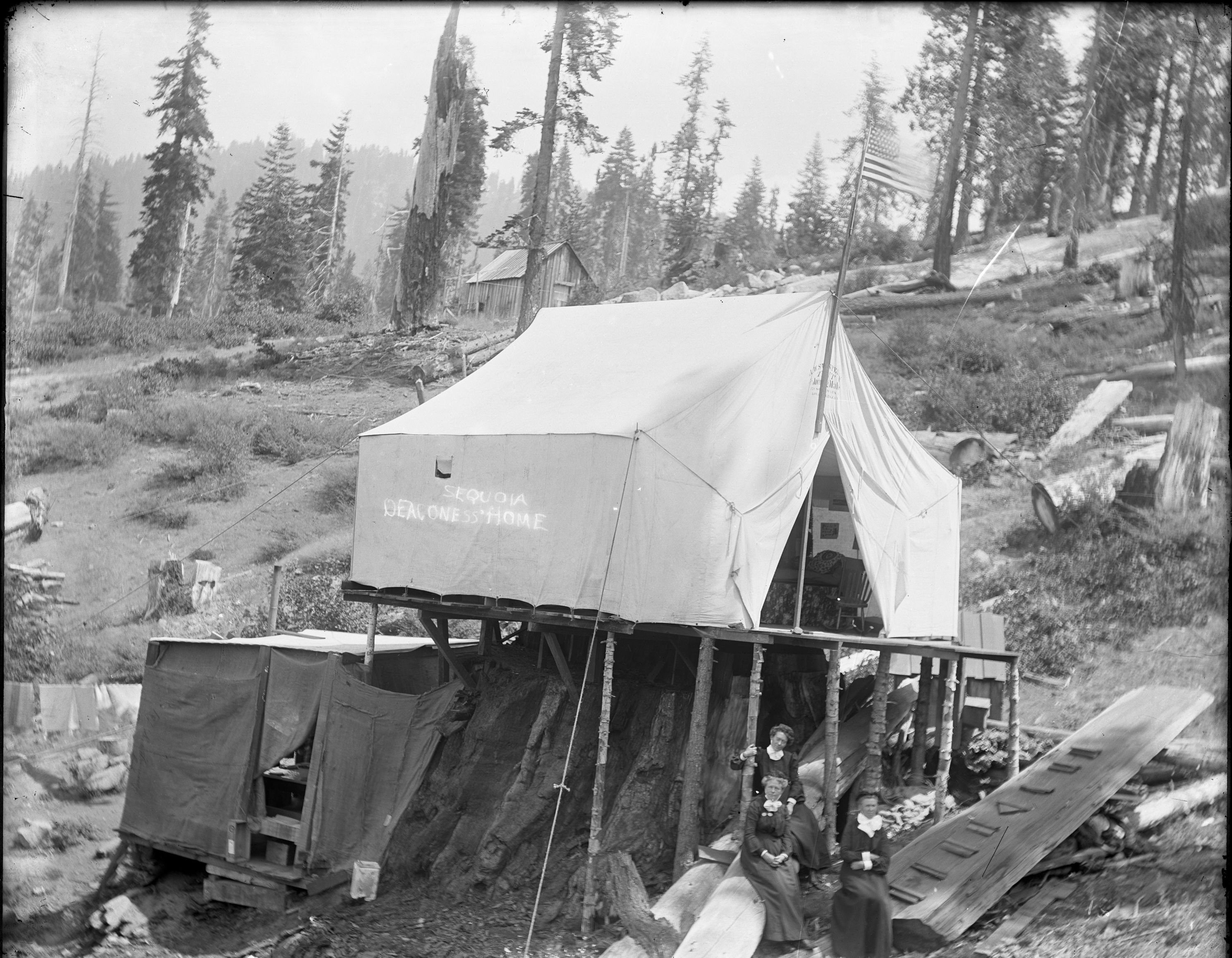 SEKI Roberts Collection Series: 1 Glass Plates; 3 Large glass plates; 8 Logging