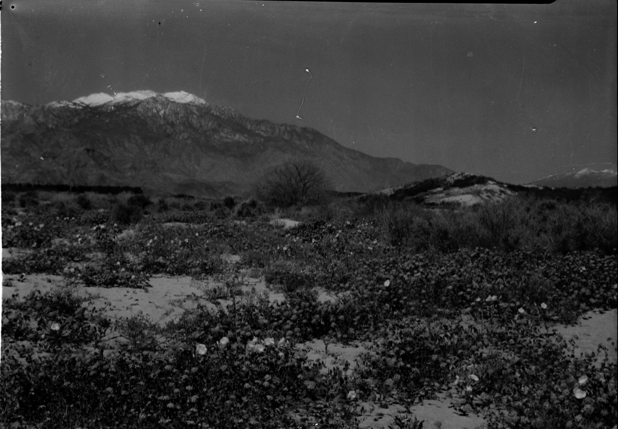 SEKI Roberts Collection Series: 2 Negatives; 10 Outside of the Park