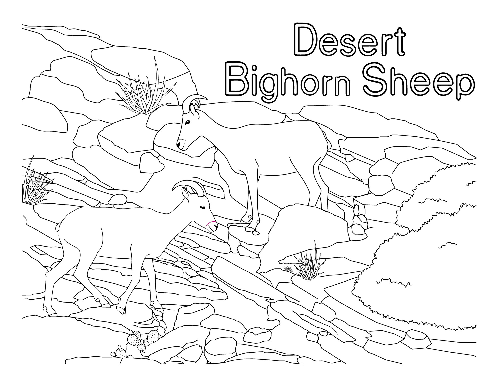 desert mountain coloring pages