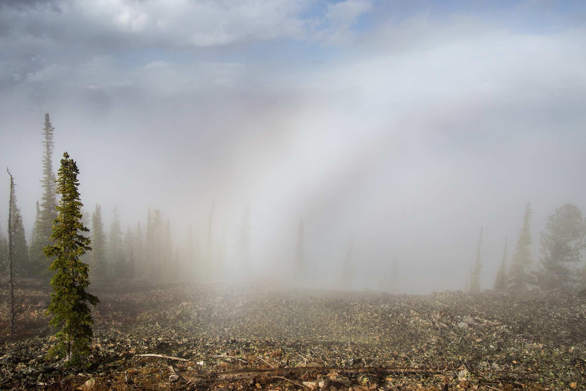 Diamond Dust, Yellowstone National Park, WY Early morning w…