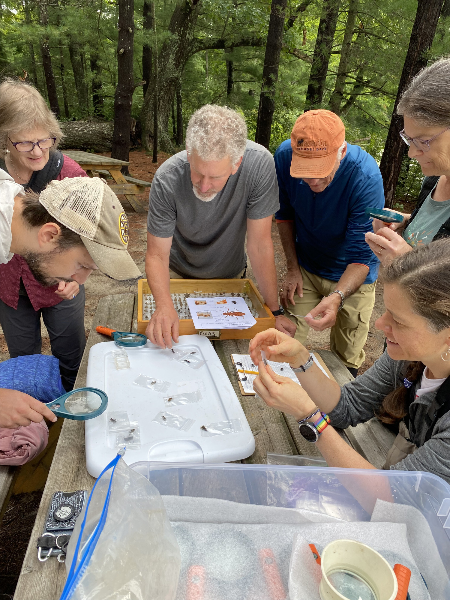 Six people stand around a table and process dragonfly larvae samples.