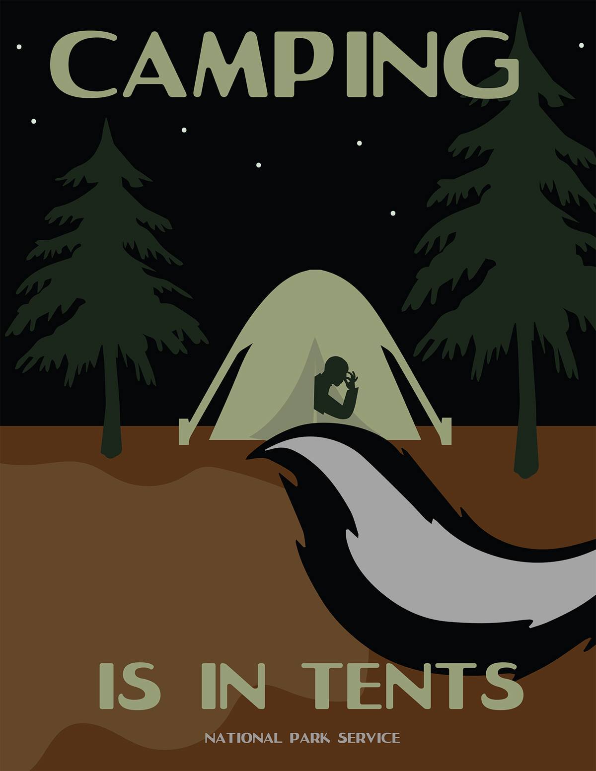 Camping (U.S. National Park Service)