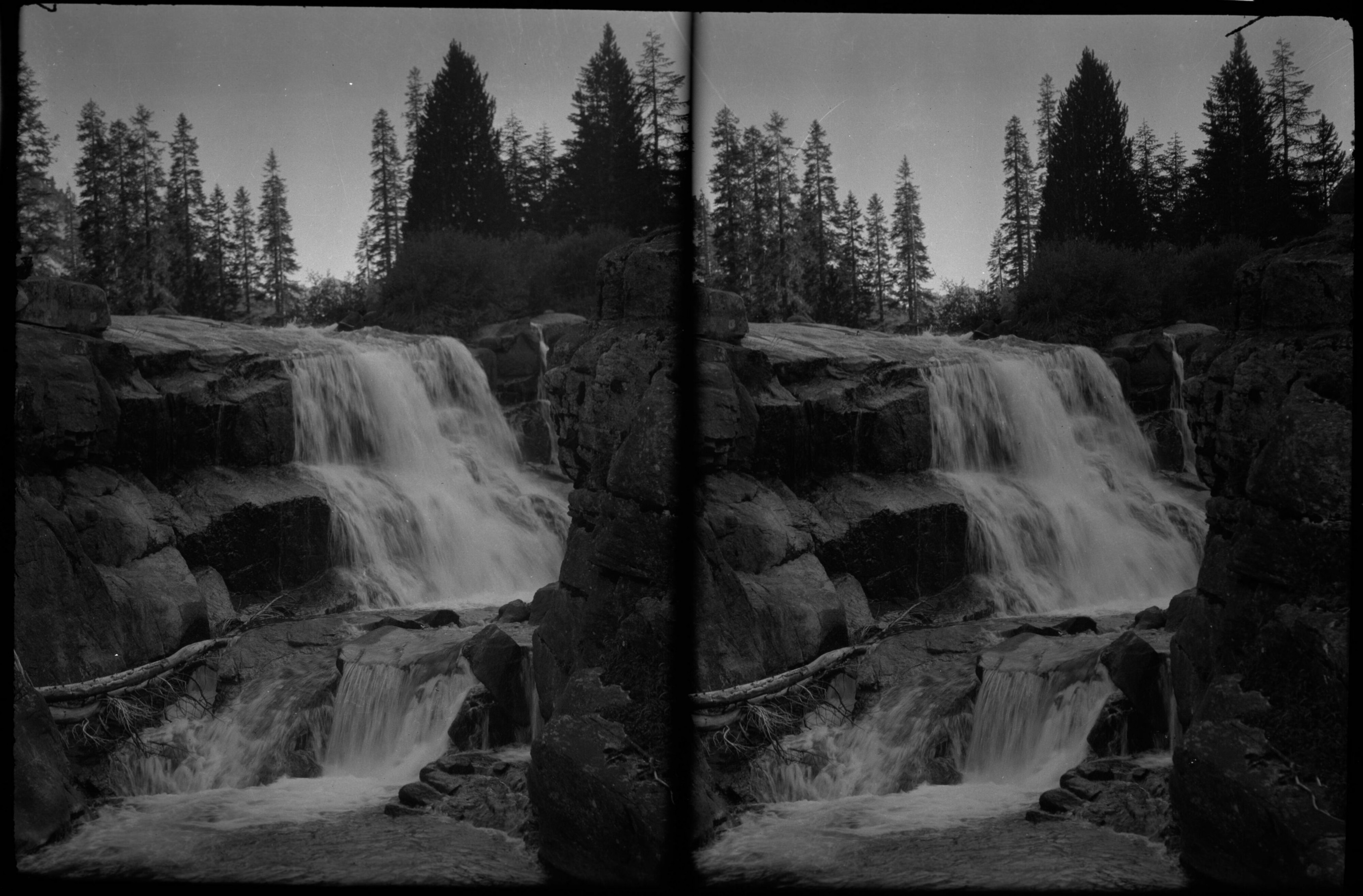 SEKI Roberts Collection Series: 2 Negatives; 15 Stereographs