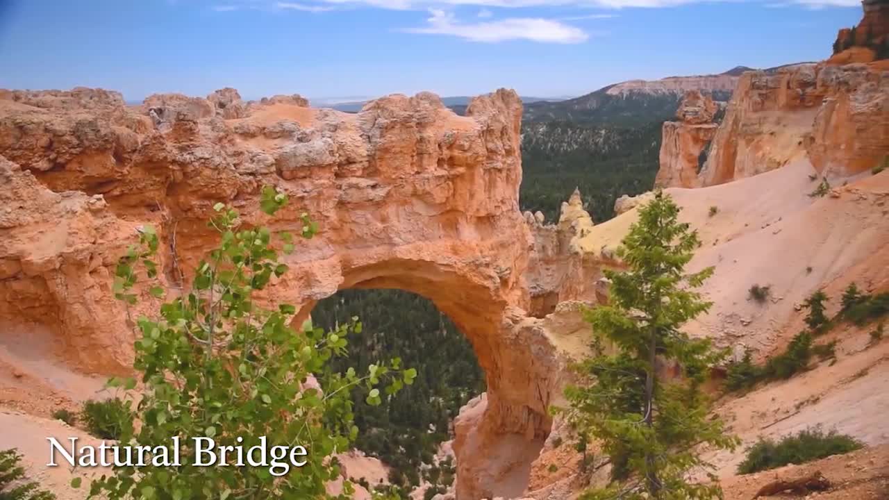 Bryce Canyon Centennial Water bottle - LIMITED