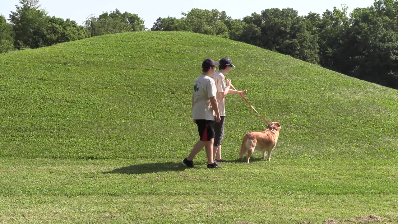 WATCH: Doggos and puppers invade The Globe for Rangers' annual Bark in the  Park