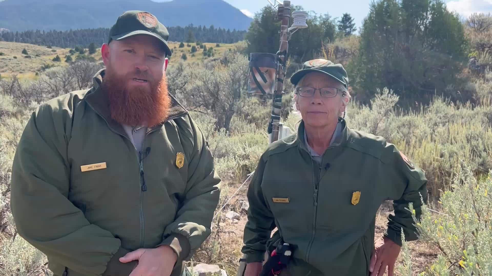 Minnows - Yellowstone National Park (U.S. National Park Service)