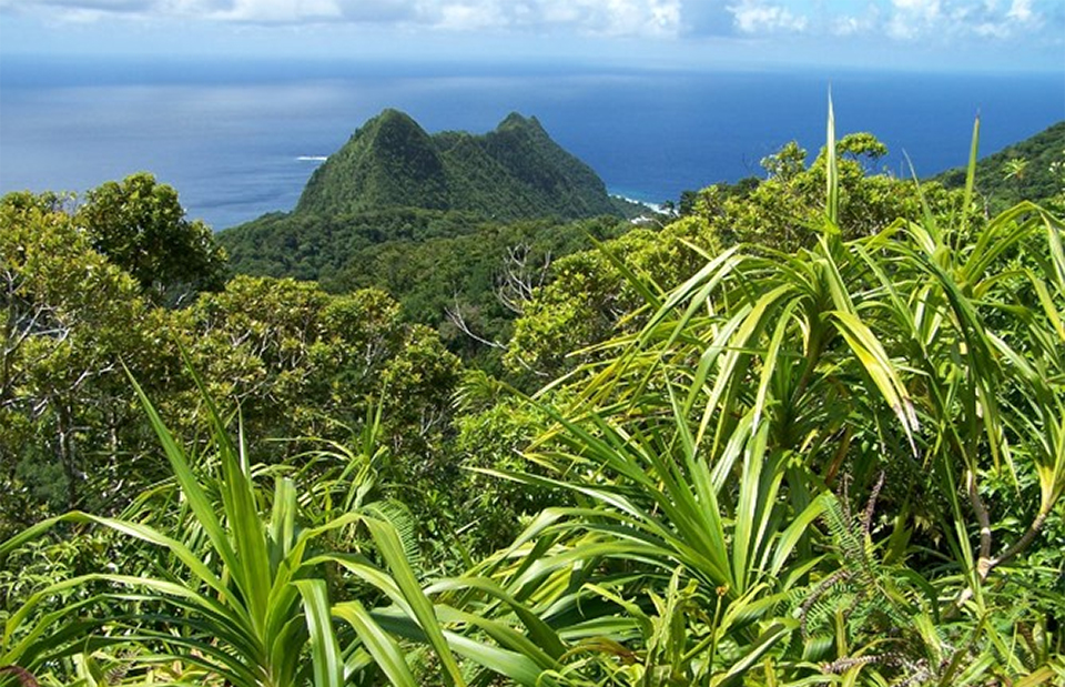 Of American Samoa National Park