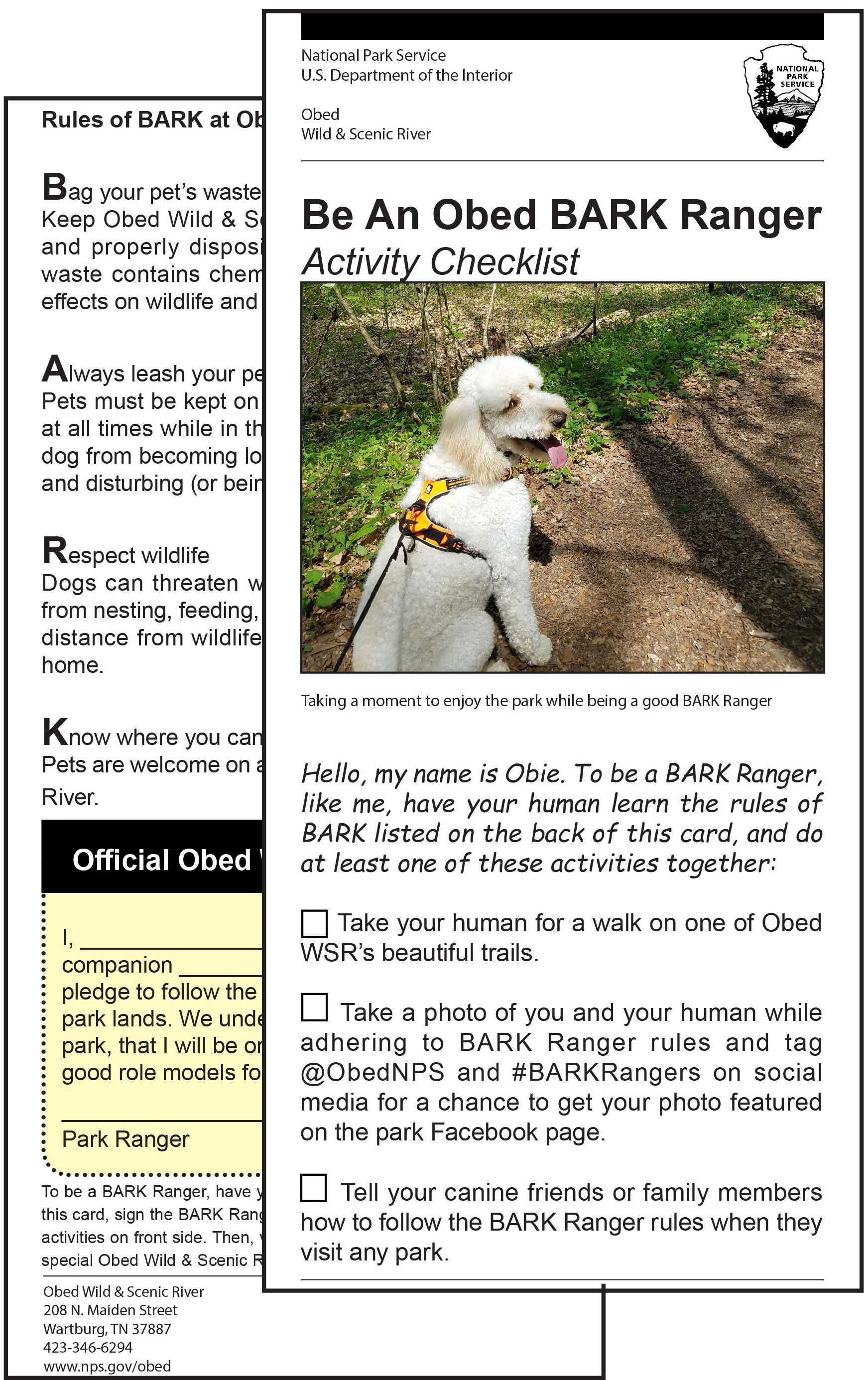 Be an Obed BARK Ranger - Obed Wild & Scenic River (U.S. National Park  Service)