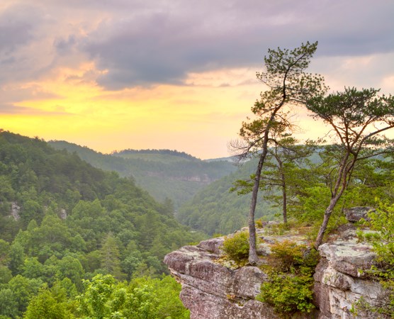 Lilly-Bridge-Overlook