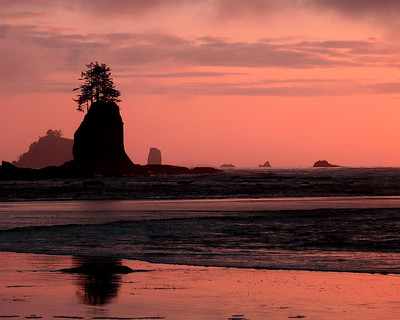 Geology of Olympic - Olympic National Park (U.S. National Park Service)