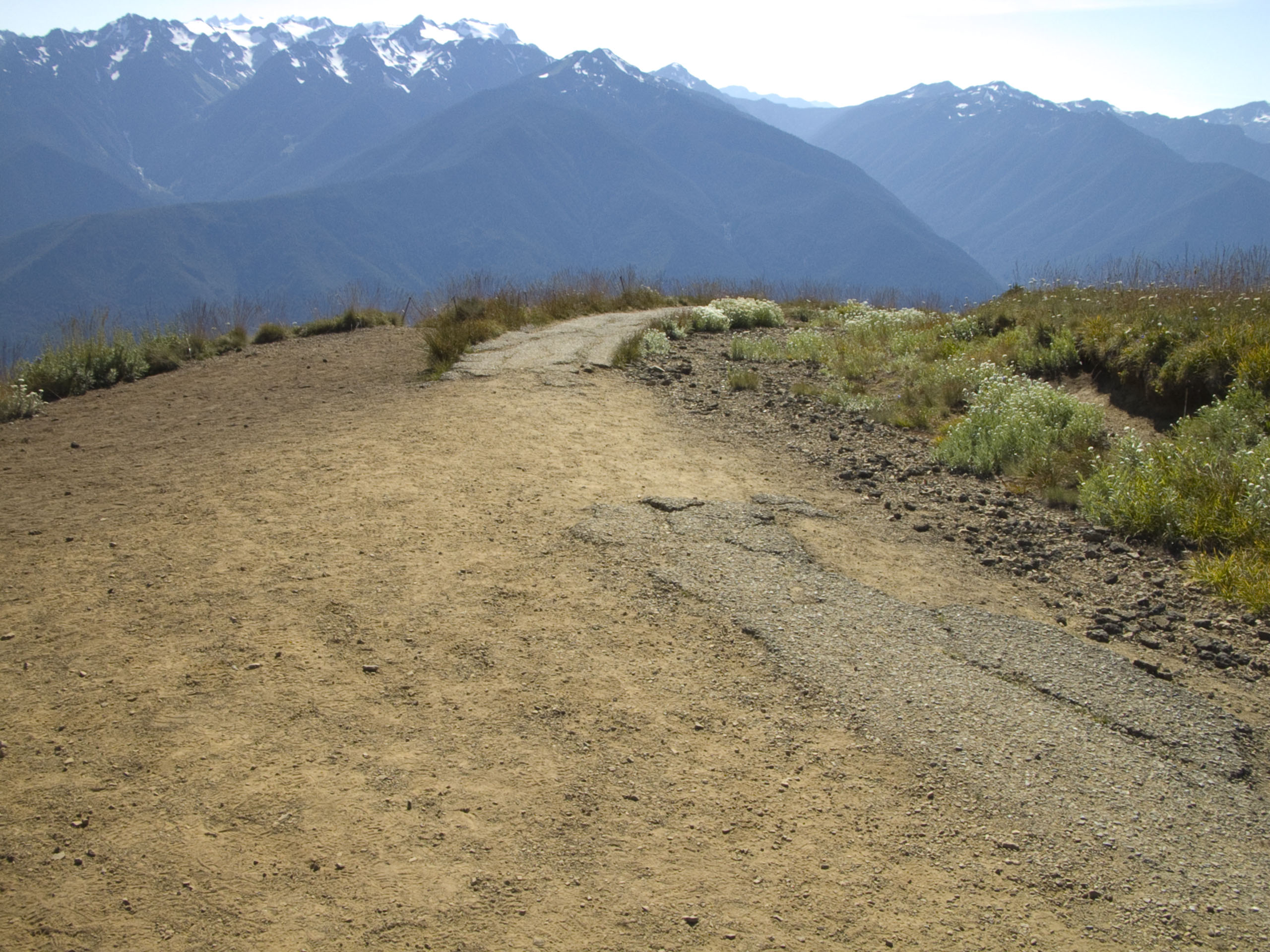 Damaged pavement and off-trail impacts on Hurricane Hill Trail.